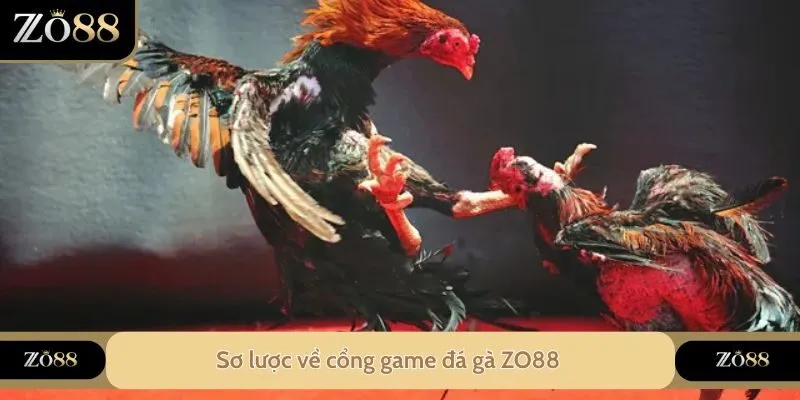 Sơ lược về cổng game đá gà ZO88